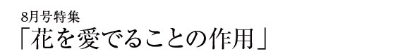 今月の特集